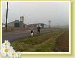 Villers_au_Tertre_24.11.2011 (5)
